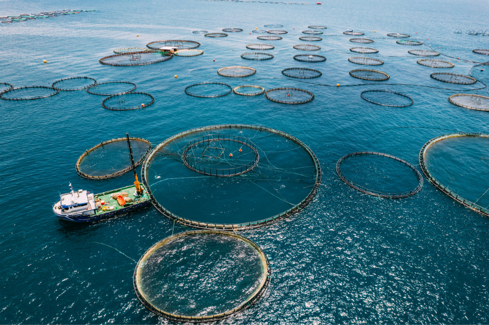 Protecting fish farms from extreme climate occasions