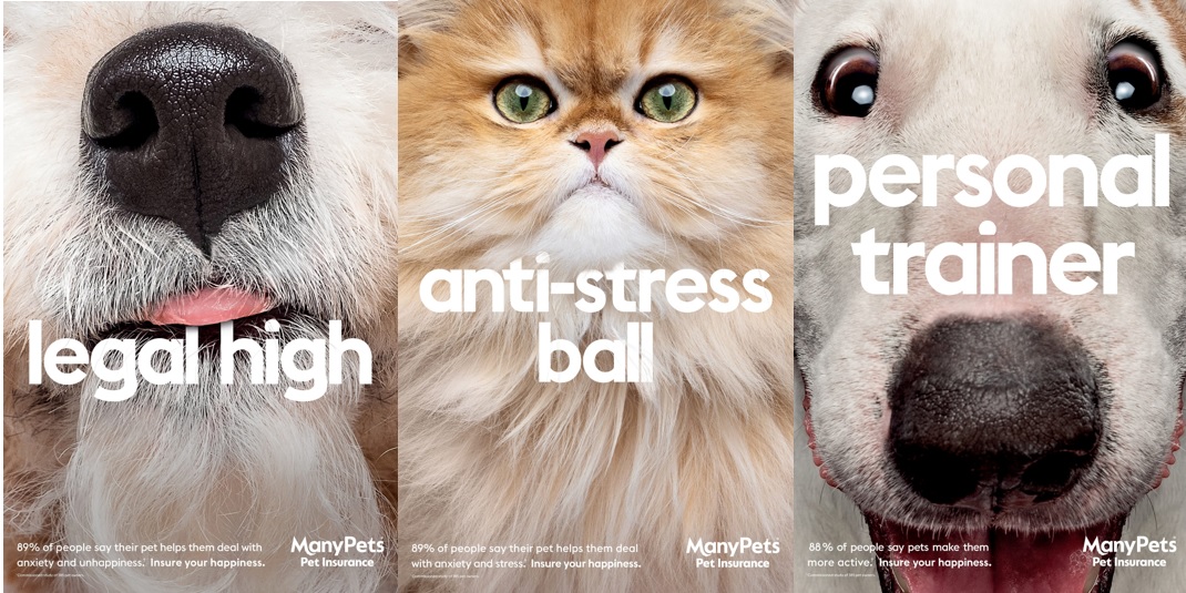 ManyPets best insurance ad campaigns – Insure Your Happiness