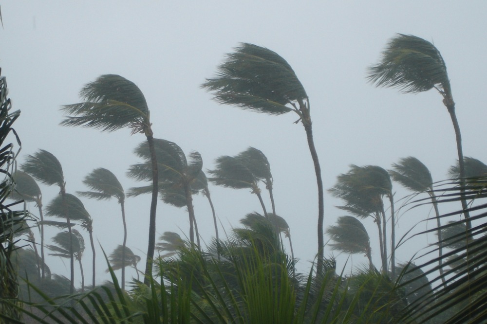 Floridians urged to remain vigilant as storm looms - Vimarsana News