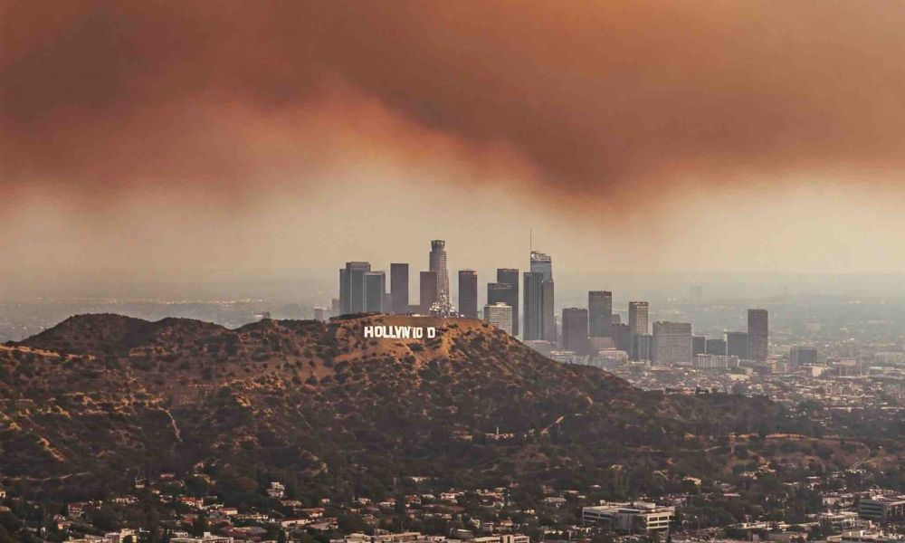 Survival isn't about fleeing risk – it's about diversifying