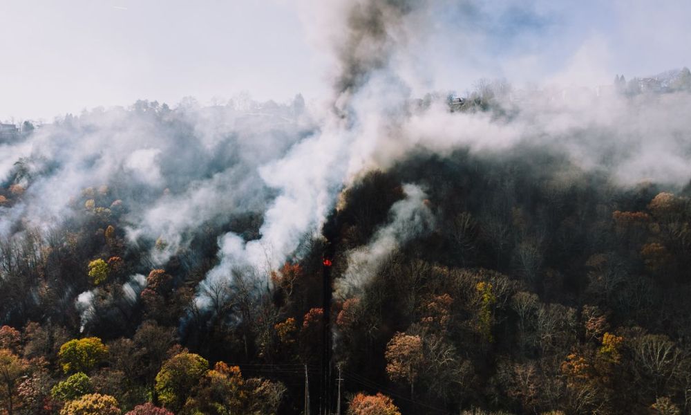 Canadian wildfire smoke blankets northeastern US, raising air quality risk