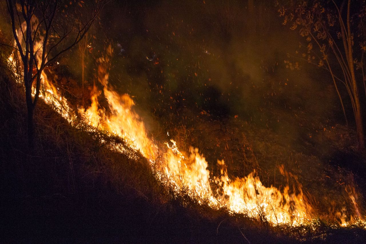 Wildfire liability gaps put utility insurers at credit risk, DBRS warns