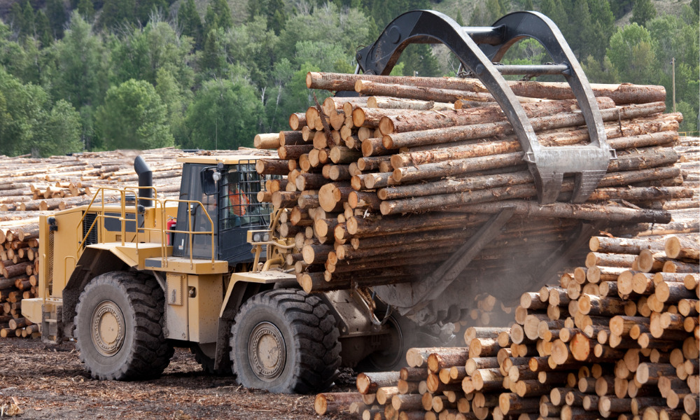 Canada to challenge US lumber duties