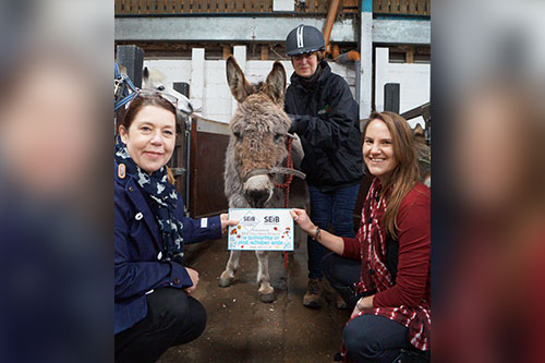 SEIB Insurance Brokers charity award voting tied