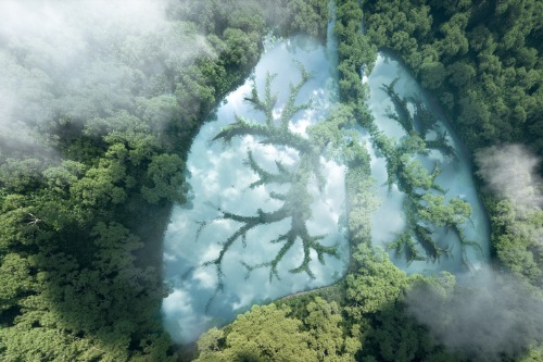 QuestGates sets carbon neutrality goals