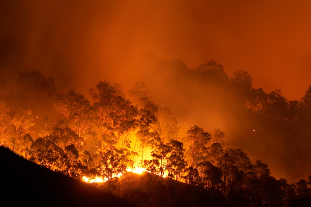 Guy Carpenter, Avrupa'daki orman yangınları için risk değerlendirme aracını tanıttı