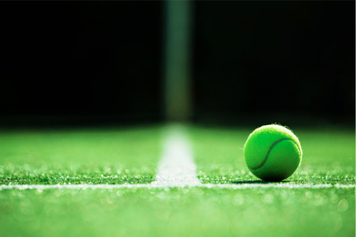 Coronavirus: Wimbledon has cover against global pandemic – reports