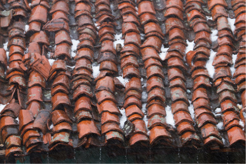 IBC: Alberta hailstorm is "an insurable event"