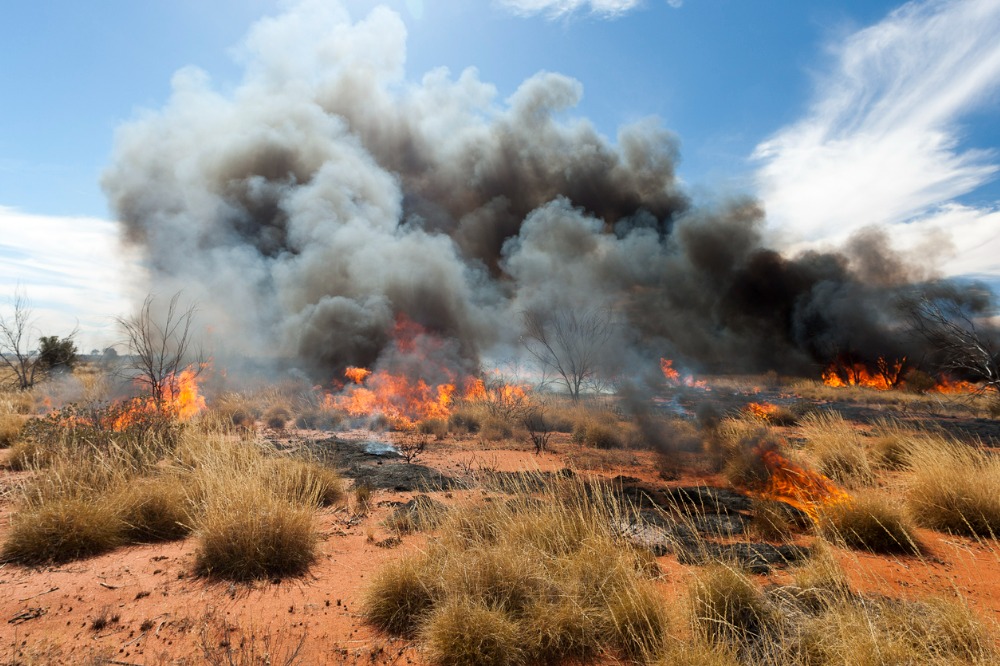 Alberta Updates On Wildfires Tens Of Thousands Evacuated Insurance