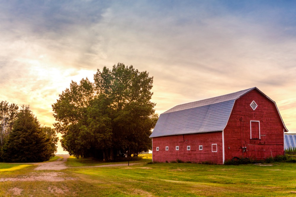 'Record' drought insurance coverage available for Saskatchewan farmers ...