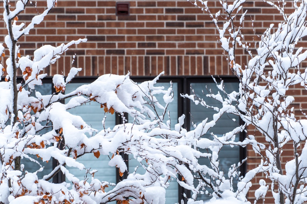 IBC to Ontarians: prepare for a winter thaw - Vimarsana News
