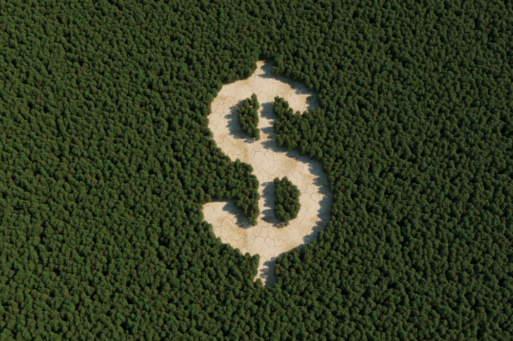 Munich Re arm goes big for forestry fund - Vimarsana News
