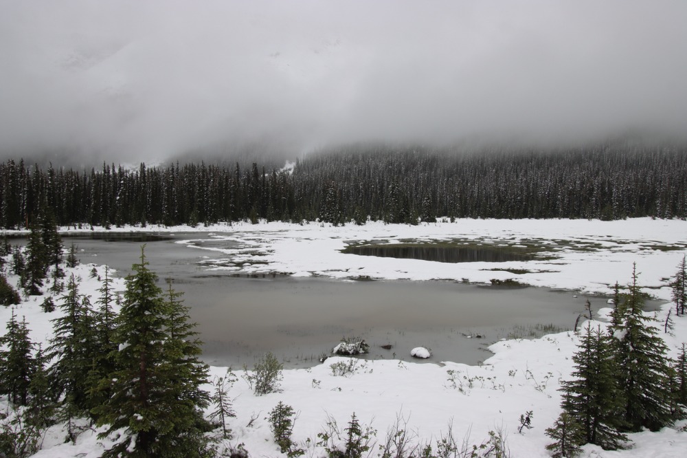 How much insured damage did the Western Canada deep freeze cause? - Vimarsana News