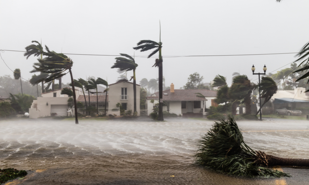OSFI clears natural catastrophe bonds as reinsurance for capital relief