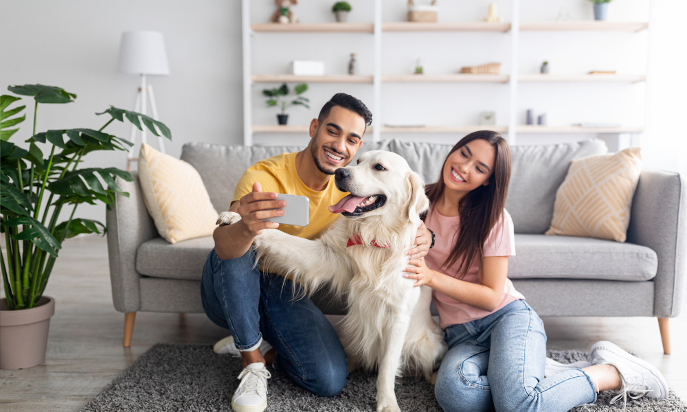 Canada's pet insurance market grows, but coverage remains sparse ...