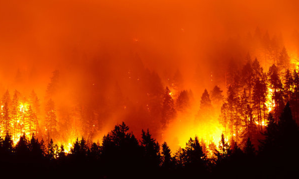 Canada's wildfires add new complexity for insurers as tariffs and adjuster shortages collide