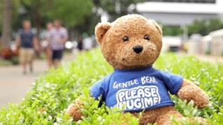 GB Gentle Bear – Gallagher Bassett’s ambassador of care and compassion