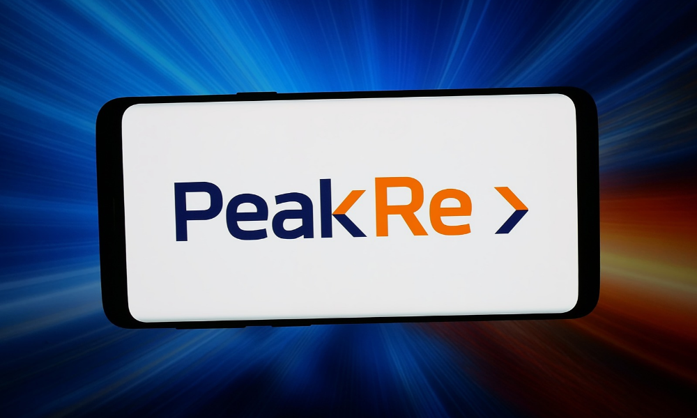 Peak Re brings a reinsurer's view into GAIP's protection gap work