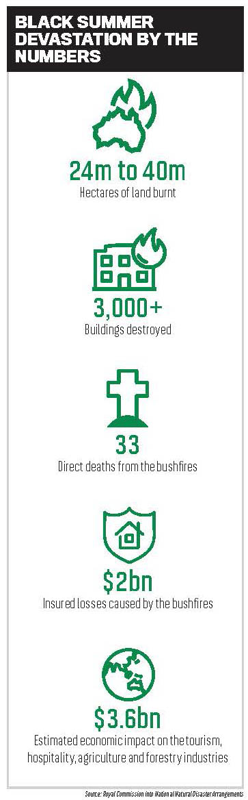 Black summer devastation by the numbers