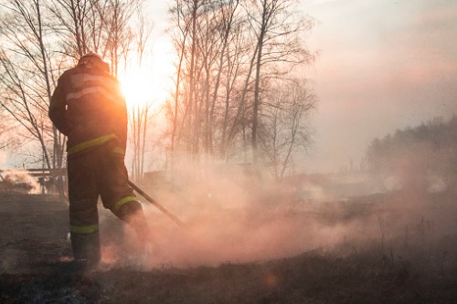 AFCA provides advice and clarity amid bushfire havoc