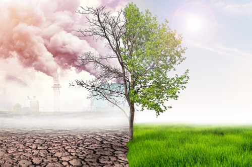 Insurers, scientists team up in