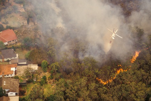 Many small businesses will likely face insurance disputes post-bushfires