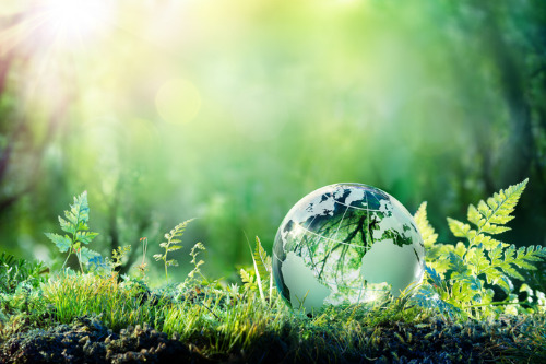 PwC shares net-zero greenhouse gas emissions target