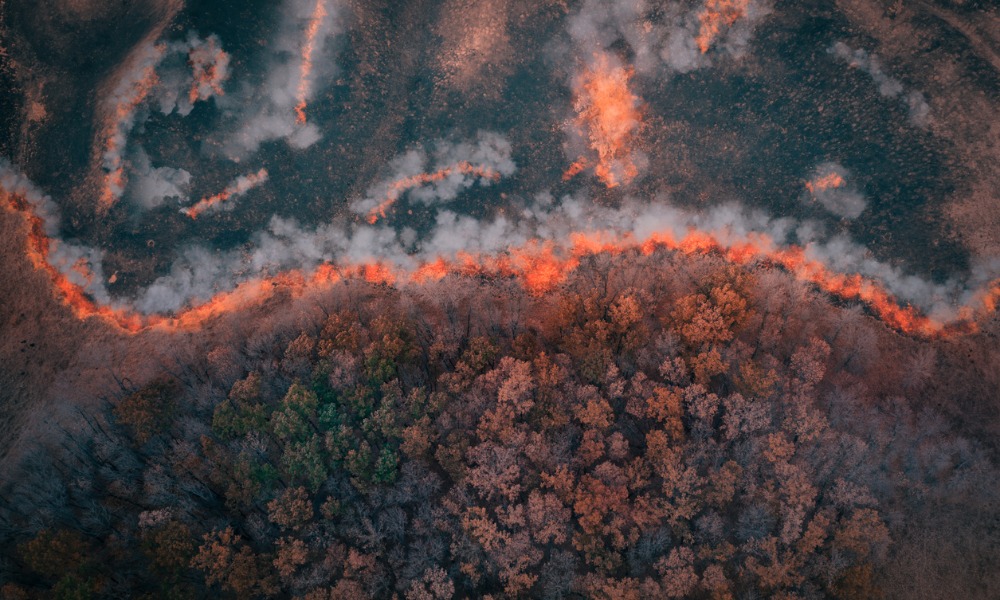 Bushfire Buildings East coast buildings face significant risk of bushfire, index warns ...