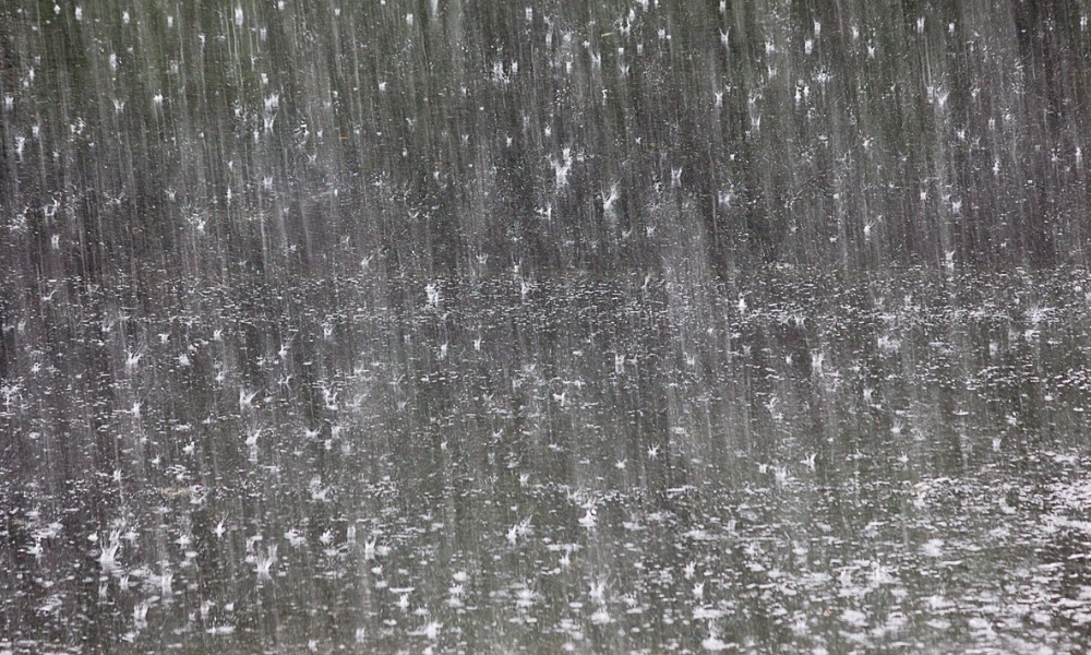 RACQ supports customers hit by Tropical Cyclone Jasper - Vimarsana News