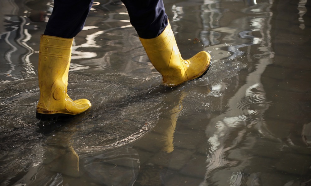 Lismore moves forward: Flood recovery centre closes - Vimarsana News