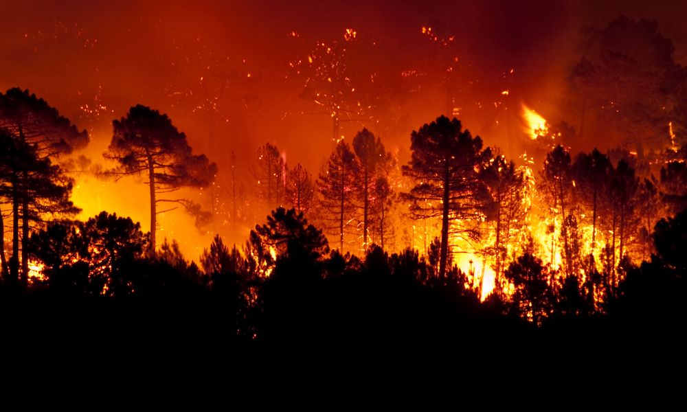 Bushfire Buildings IAG urges preparation as southern bushfire and heat risks climb ...