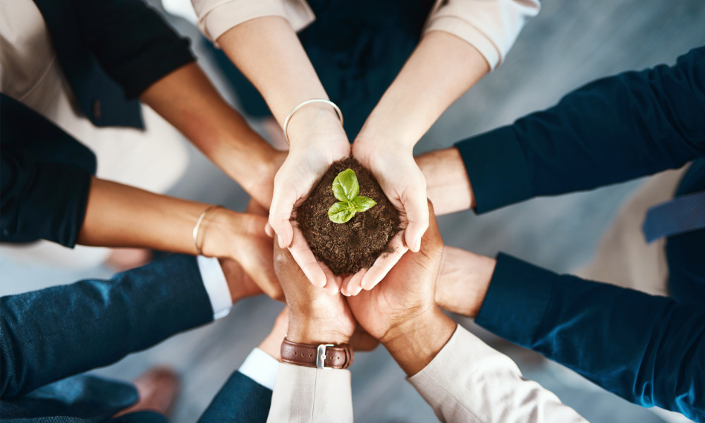 Employment law: Key growth areas and workplace developments