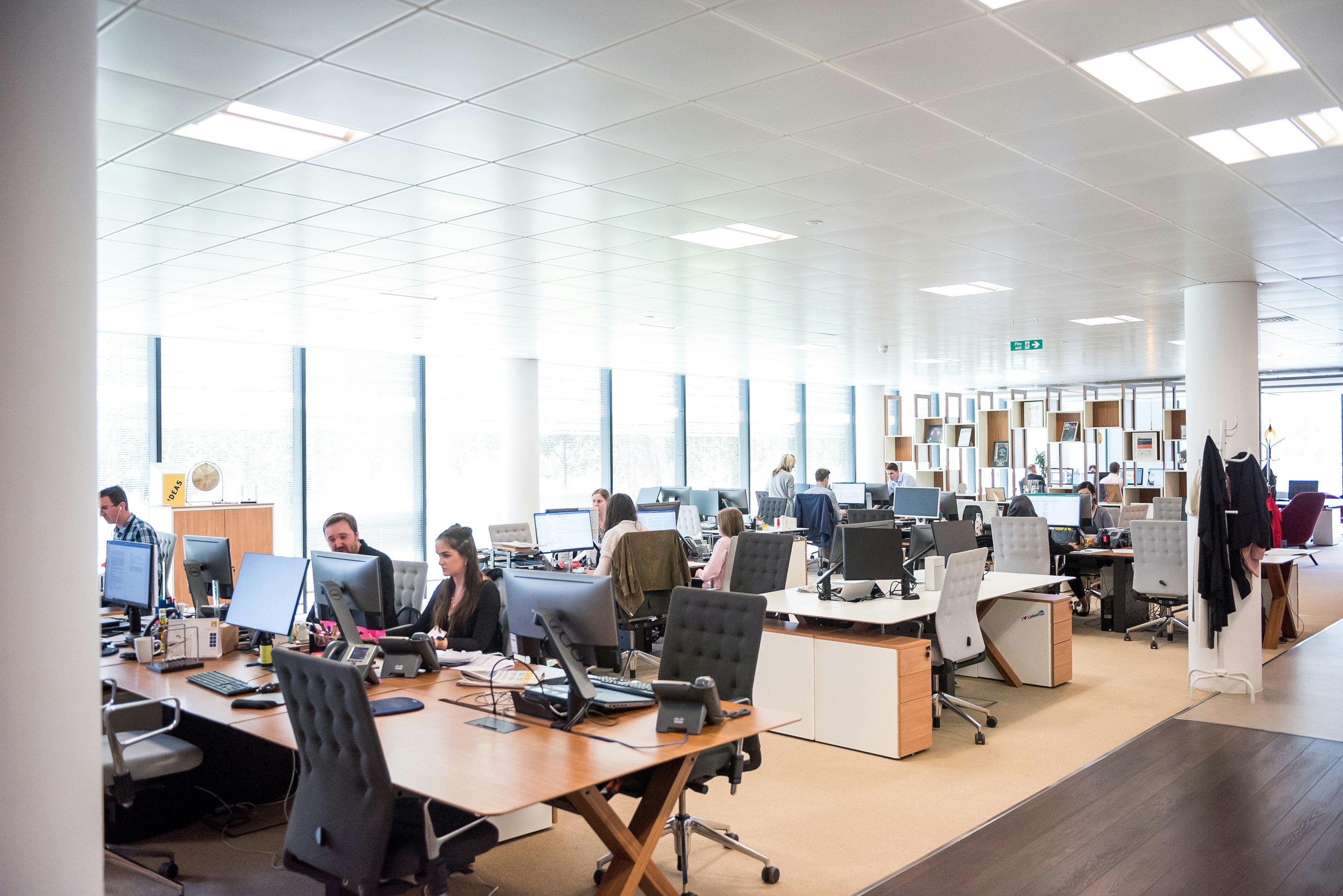 scene at the office with employees at their workstations