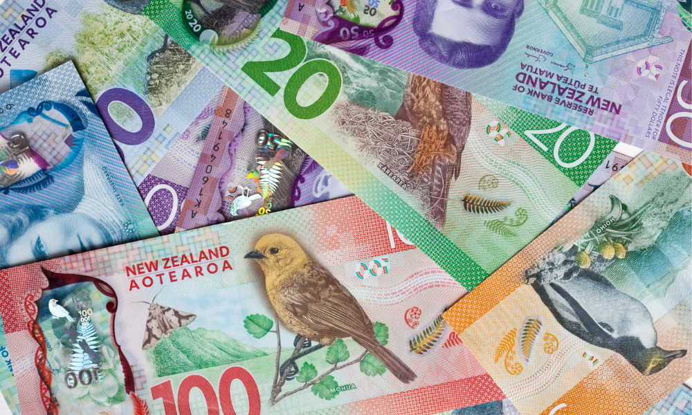 Hamilton City Council move to rectify payment errors