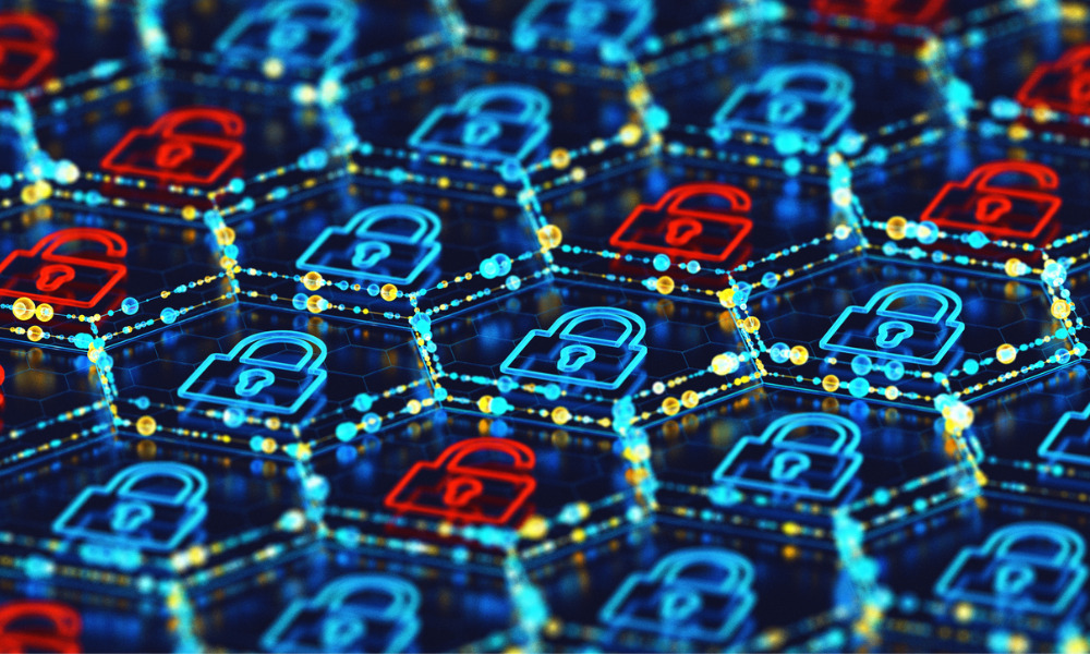More than half of Kiwi businesses hit by cyber-attack last year: report - Vimarsana News