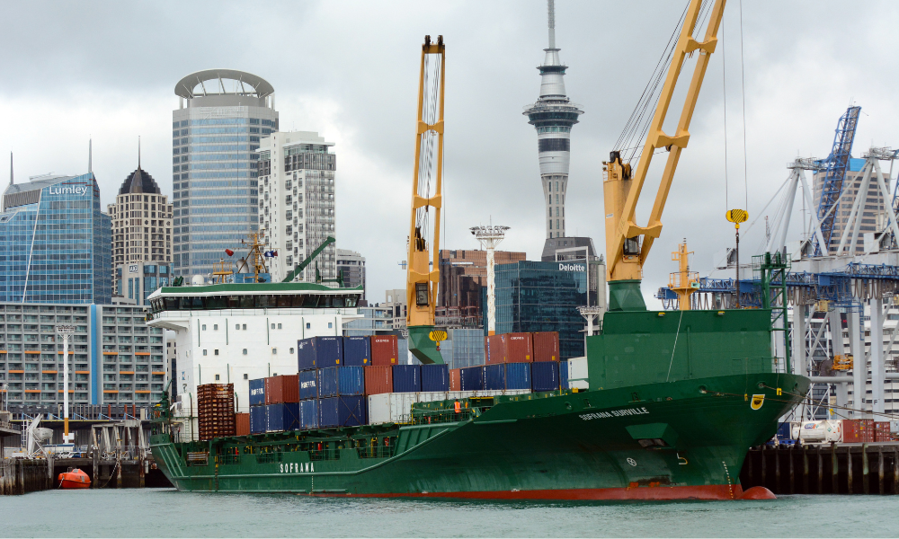Worker representation urged in Ports of Auckland Board