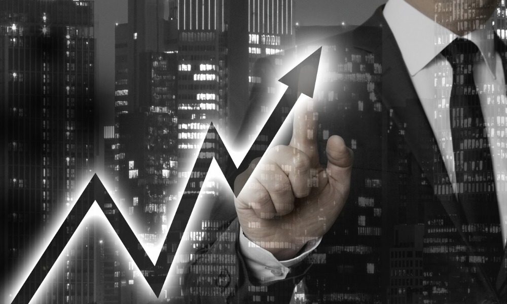 New Zealand jobs ads dip as applications per posting hit record high - Vimarsana News