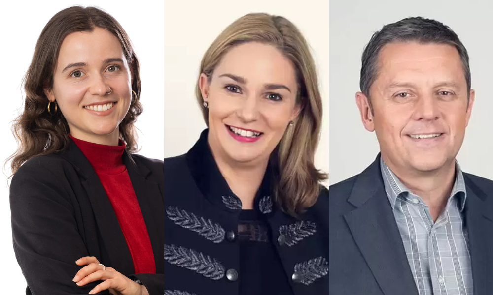 New bill likely to shift employment law landscape in New Zealand ...
