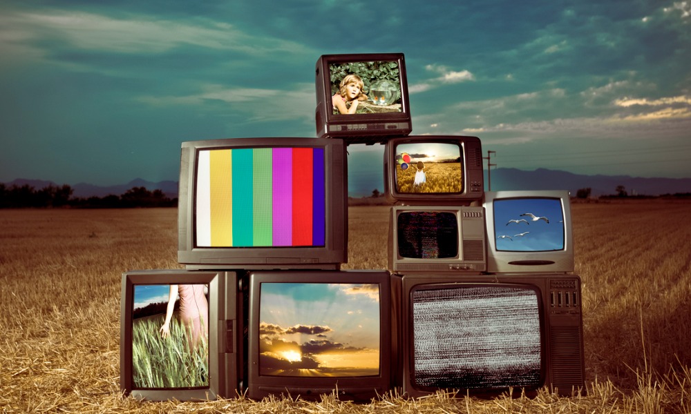 Unleashing diversity in New Zealand's film and television industry - Vimarsana News