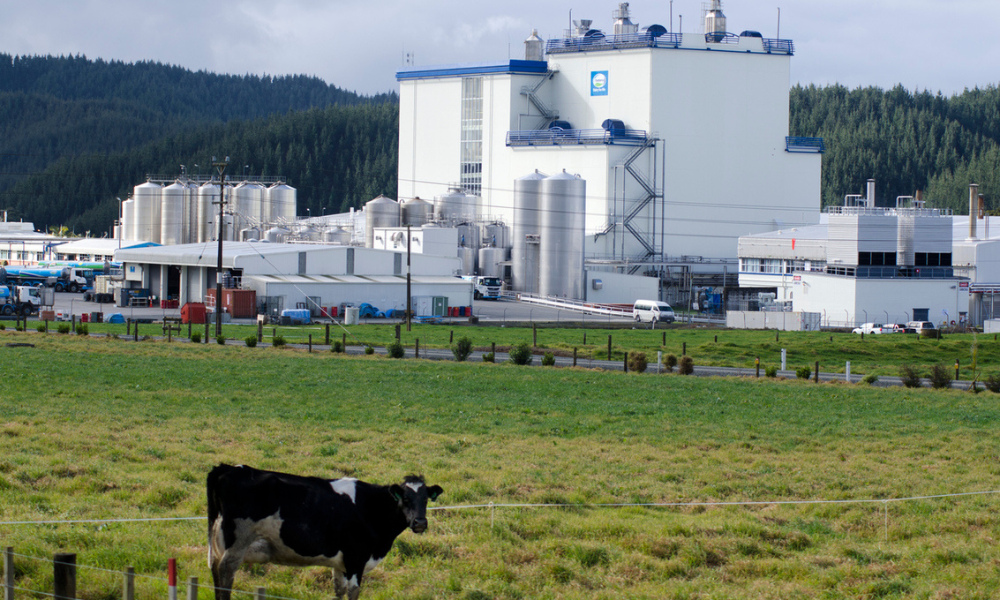 Fonterra bans EY staff facing misconduct probe: report - Vimarsana News
