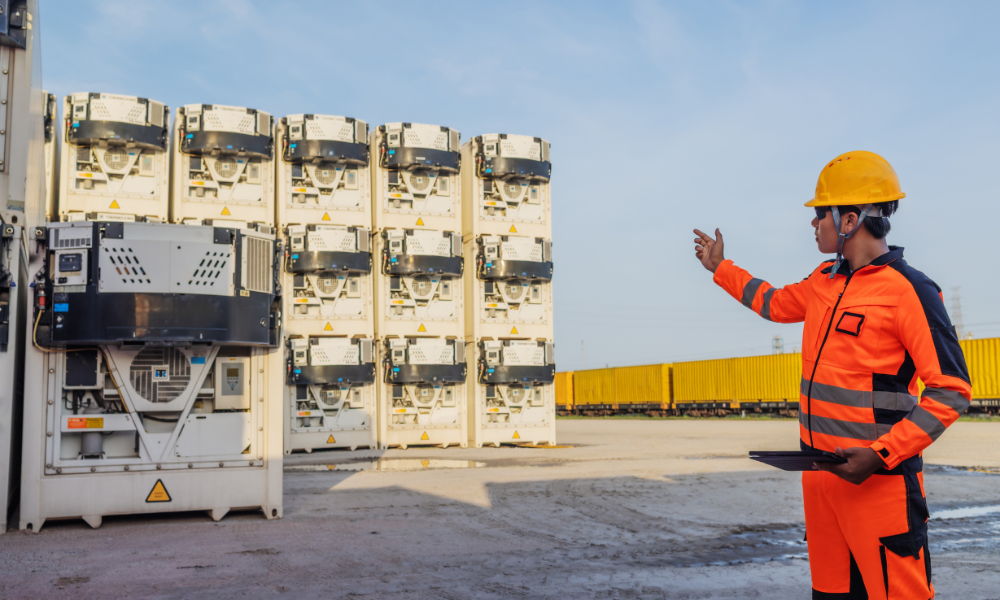 Port of Napier defeats worker's unjustified dismissal claim over undisclosed conviction