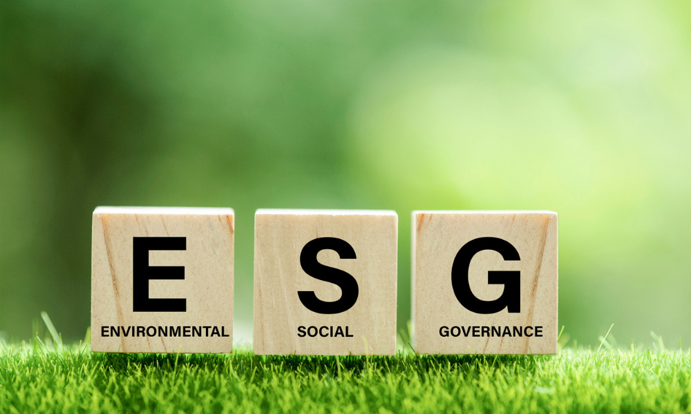 'Speak up!' Do politics and ESG have a place in the office?