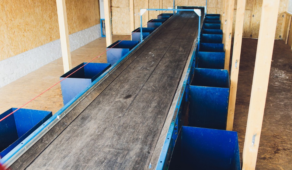 Worker pulled into conveyor belt, manufacturer fined $125,000