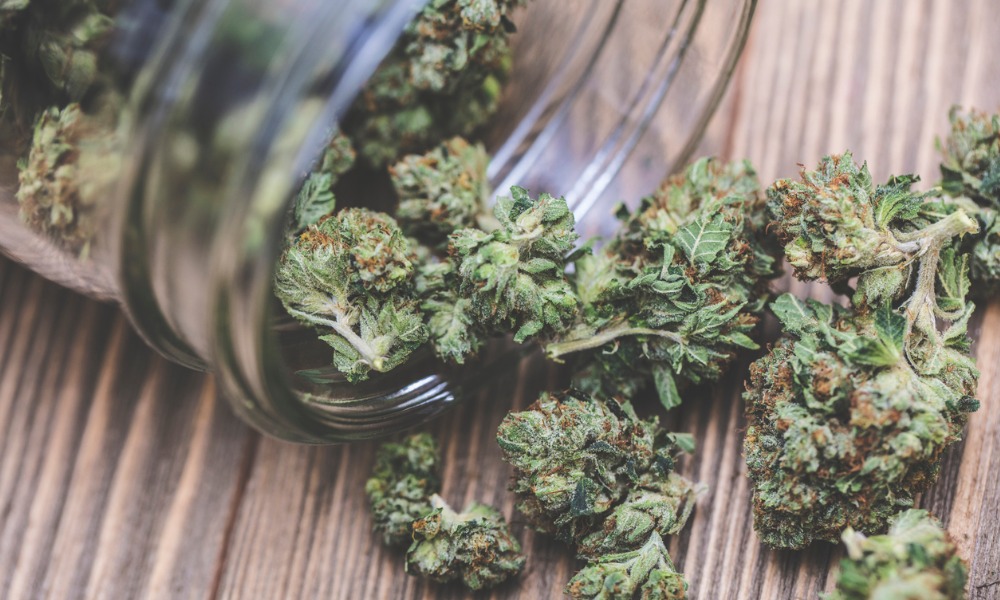 WCB P.E.I. updates rules on approval for medical cannabis use