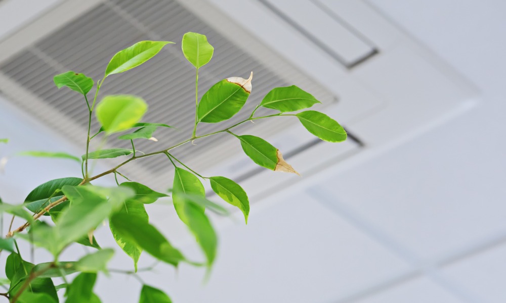 Office air may be negatively affecting worker health, productivity: Report