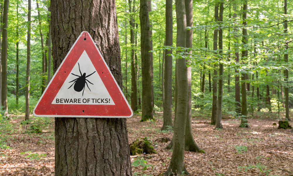 Lyme disease on the rise in Canada