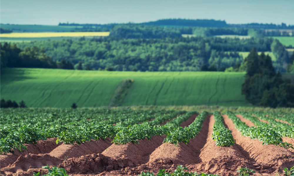 Federal government invests for P.E.I. farm workers