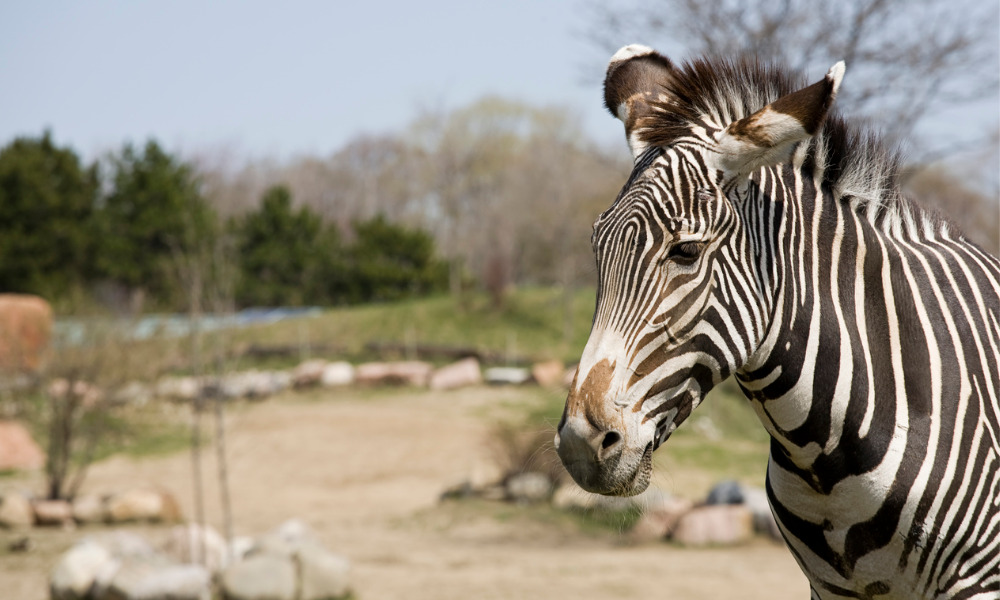 Toronto Zoo