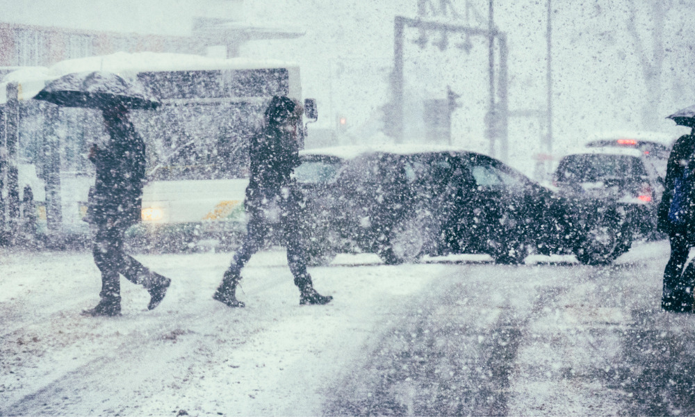 Ontario snow storm causes vaccination clinic, school bus cancellations