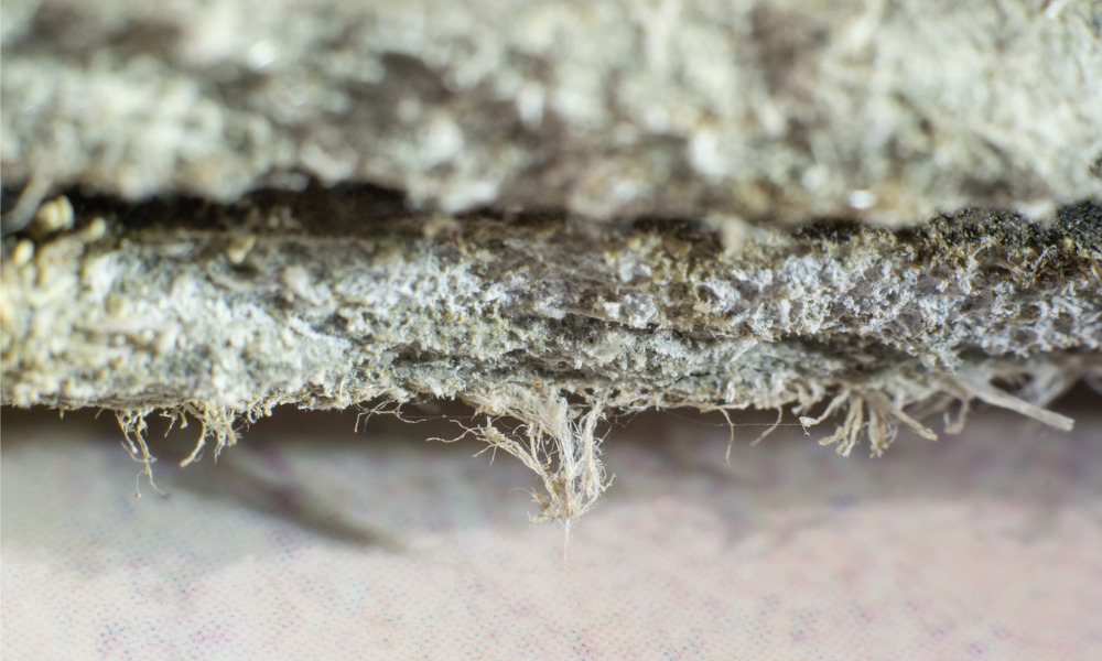 Asbestos-related violations lead to hefty fines for employers